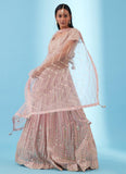Baby Pink Georgette Lehenga choli with elegant zari and sequin thread embroidery work.