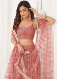 Real Mirror Work Butterfly Net Blush Pink Reception Lehenga Choli