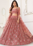 Real Mirror Work Butterfly Net Blush Pink Reception Lehenga Choli