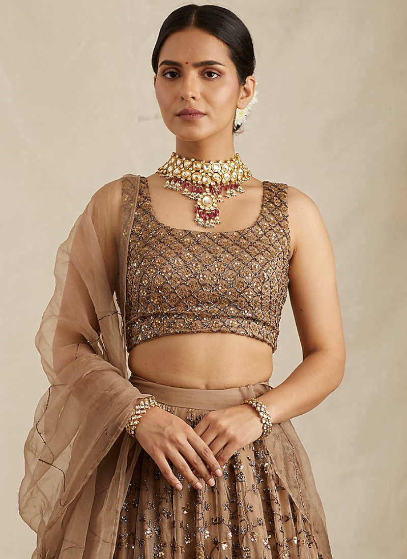Brown Sequence Work Soft Net Lehenga Choli For Wedding