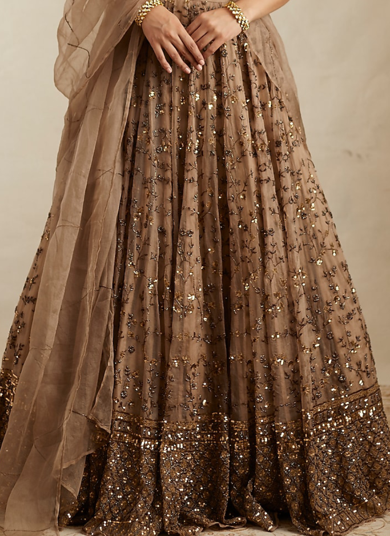 Brown Sequence Work Soft Net Lehenga Choli For Wedding
