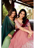 Festive wear designer lehenga choli with intricate sequin embroidery work