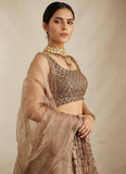 Brown Sequence Work Soft Net Lehenga Choli For Wedding