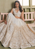 Classic cream colored Net lehenga with zari, thread sequin work