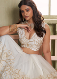 Classic cream colored Net lehenga with zari, thread sequin work